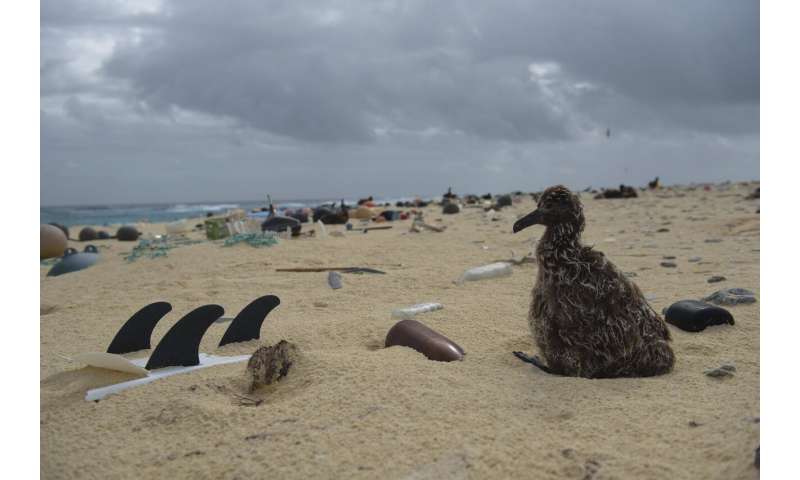 Expedition hauls tons of plastic out of remote Hawaii atolls