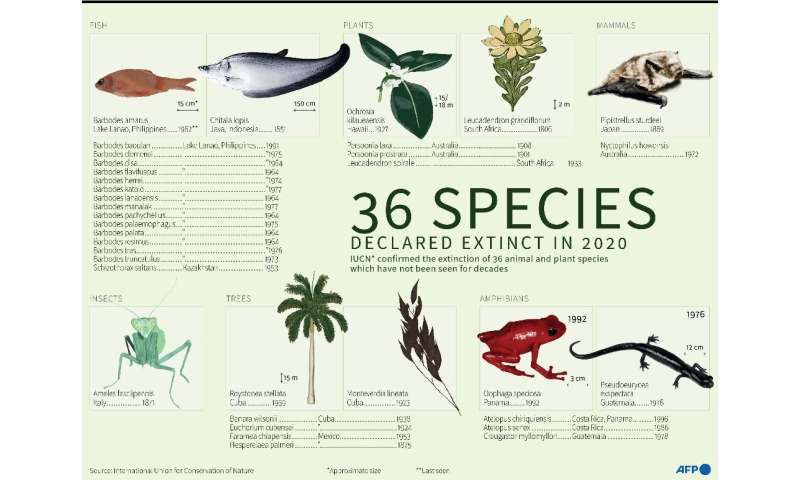 36 plant and animal species declared extinct in 2020