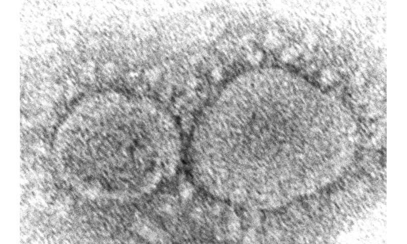 Virus may never go away but could change into mild annoyance