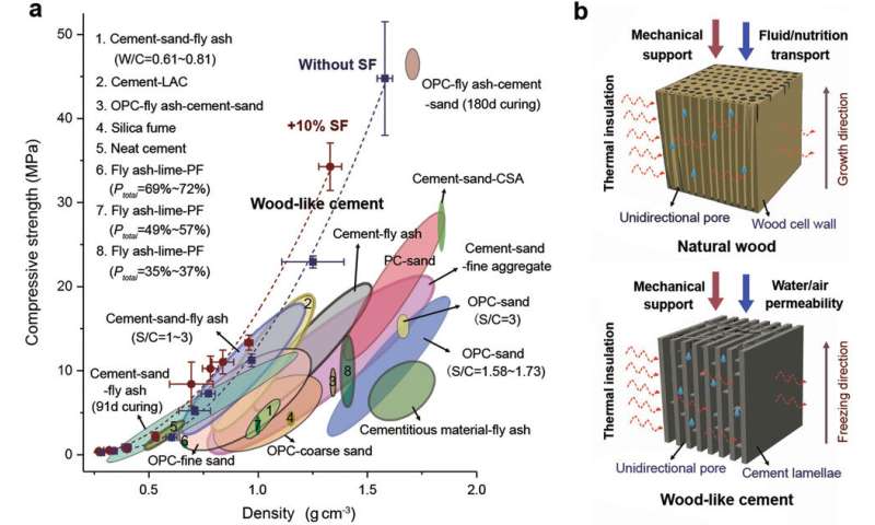 Wood-inspired cement with high strength and multifunctionality