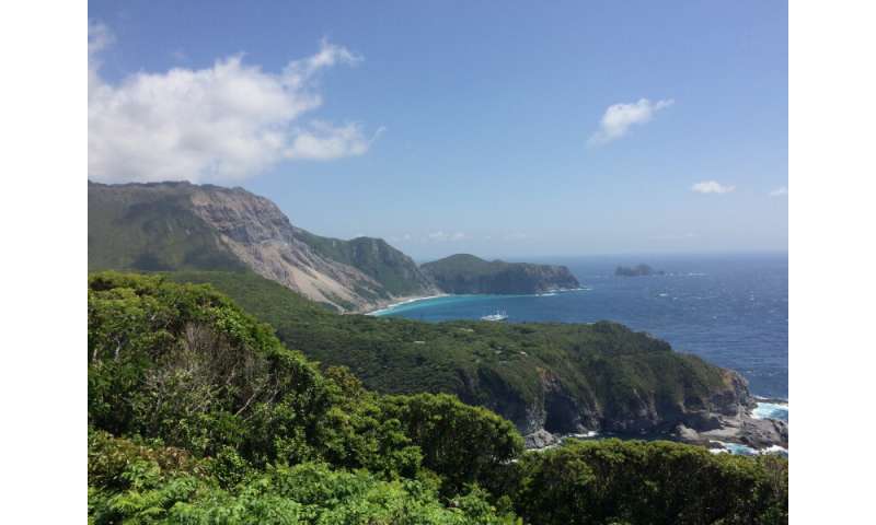 Research on Japanese Izu Islands finds rising lizard temperatures may change predator-prey relationship with snakes