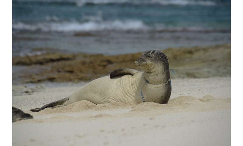 Expedition hauls tons of plastic out of remote Hawaii atolls