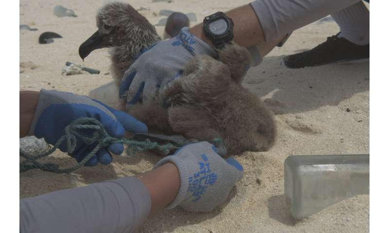 Expedition hauls tons of plastic out of remote Hawaii atolls