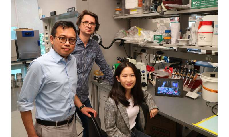 A breakthrough in the physics of blood clotting