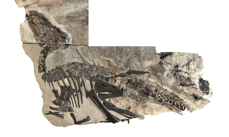 A dinosaur trove in Italy rewrites the history, geography, and evolution of the ancient Mediterranean area