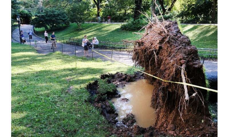 A fallen tree is blocked off in Central Park following a night of heavy wind and rain from the remnants of Hurricane Ida on Sept