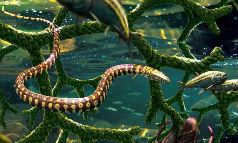 A fossil of a snake-like lizard generates controversy beyond its identity