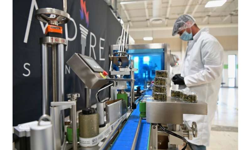 An Empire Standard employee assembles bottles containing CBD oil at their factory in Binghamton, New York on April 13, 2021