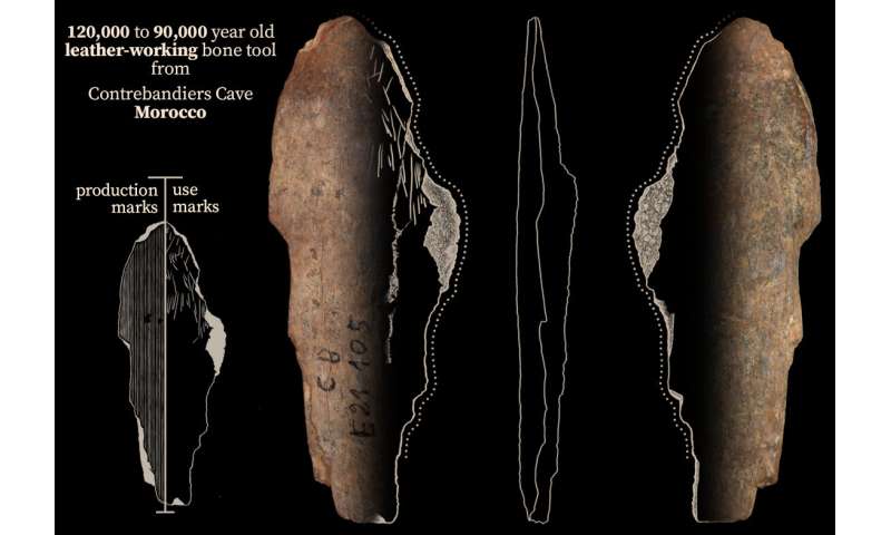 Ancient bone tools found in Moroccan cave were used to work leather, fur