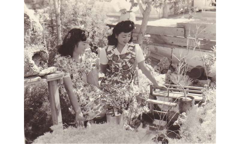Archaeologist examines the gardens of Amache internment camp for Japanese Americans