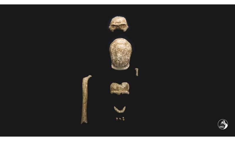 Des archéologues découvrent les restes de 9 Néandertaliens près de Rome