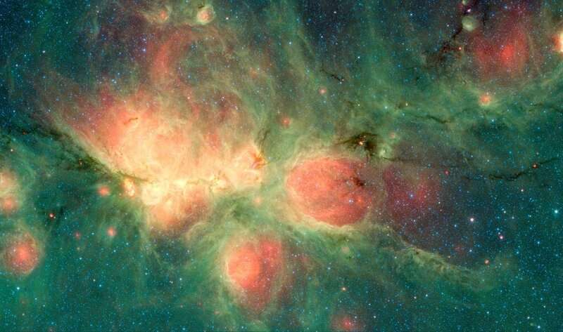 Complex magnetic field structure of Cat's Paw Nebula Bistroexplor
