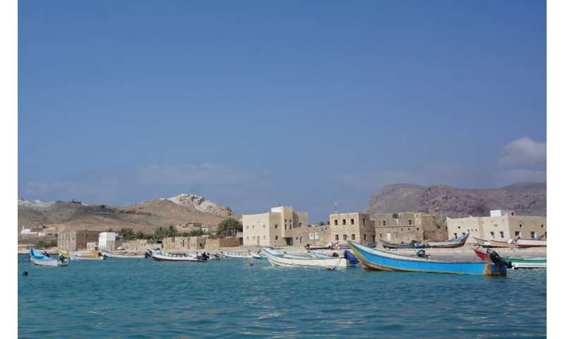 Boats at Qalansiyah on the west of Socotra, the second biggest settlement on the Indian Ocean archipelago