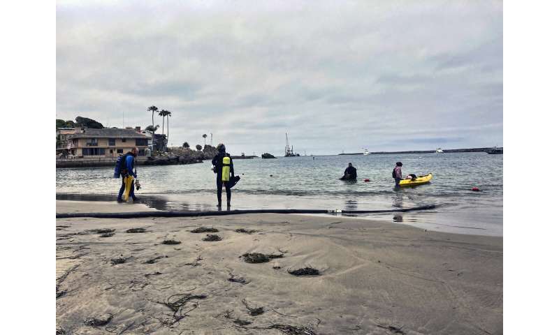 California nixing algae that crowds out food for sea animals