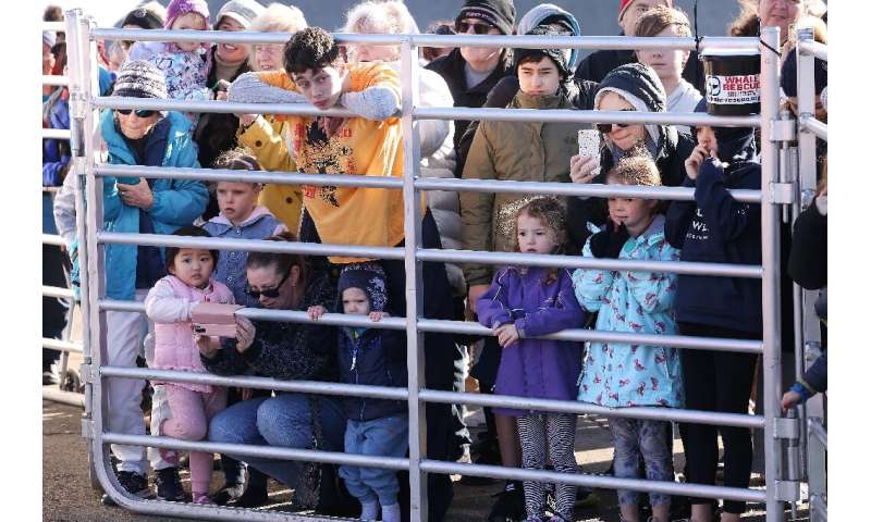 Children and parents catch a glimpse of Toa in Plimmerton
