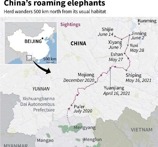 China's roaming elephants