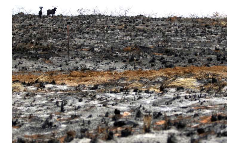Climate-fueled wildfires take toll on tropical Pacific isles