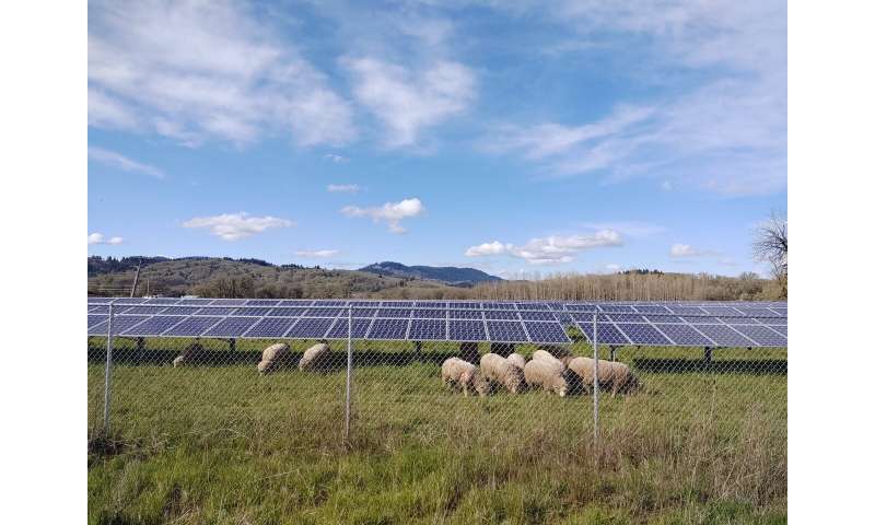 Combining solar energy and agriculture to mitigate climate change, assist rural communities