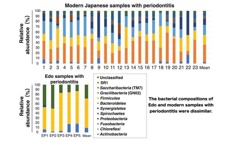 Drilling into the dental secrets of Edo-era Japanese bacterial genomes