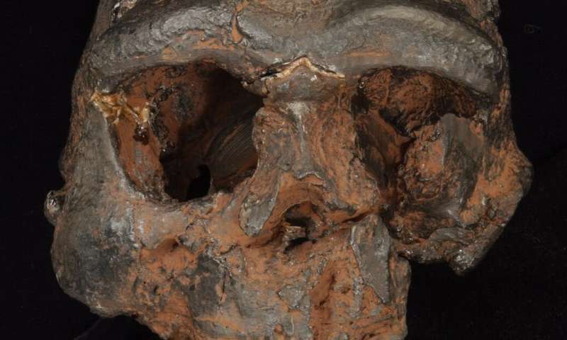 Evolutionary study suggests prehistoric human fossils 'hiding in plain sight' in Southeast Asia