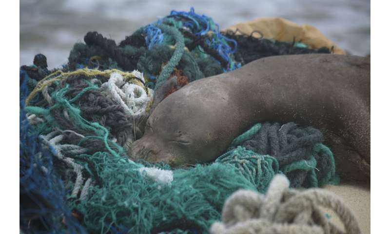 Expedition hauls tons of plastic out of remote Hawaii atolls