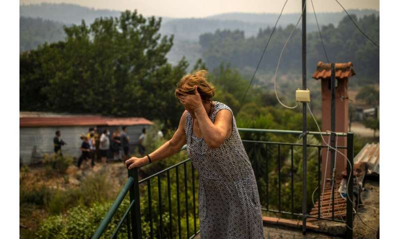 Greece has only just started counting the cost of the damage caused by the weeks of fires
