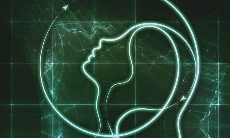 Identifying strategies to advance research on traumatic brain injury's effect on women
