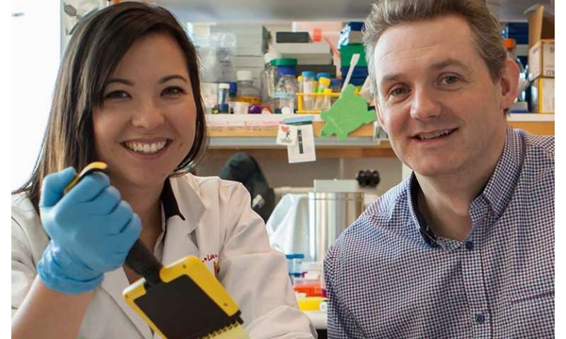 Landmark research toward increasing survival rates for aggressive childhood cancer