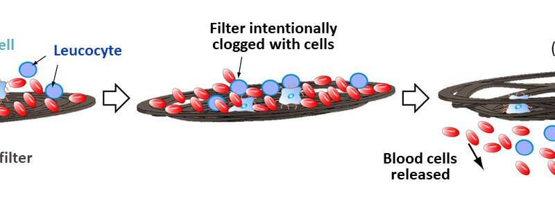 Microfilter device capable of detecting traces of cancer cells in one ml of blood