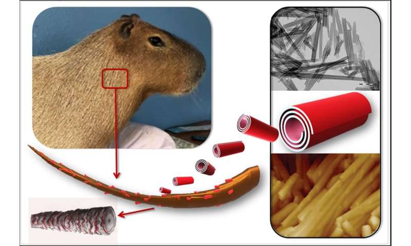 Nanoparticles to protect animals from skin parasites