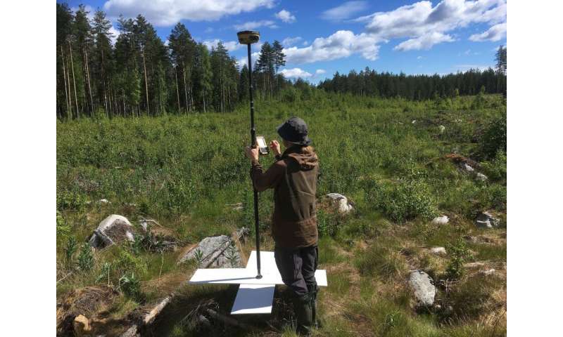 New remote sensing methods are well-suited for the detection of tree species