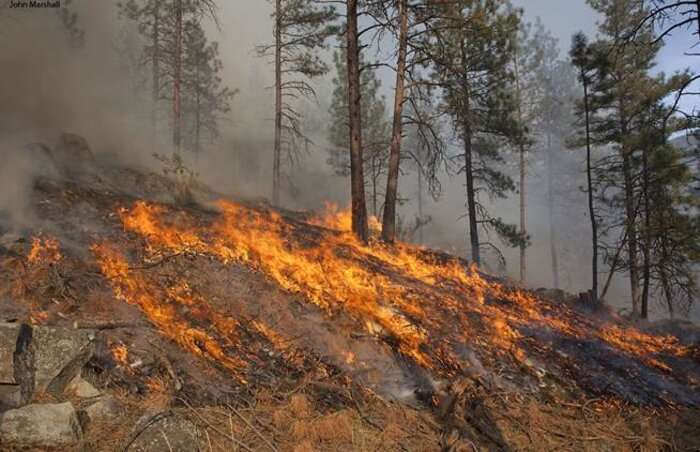 New report: State of the science on western wildfires, forests and climate change