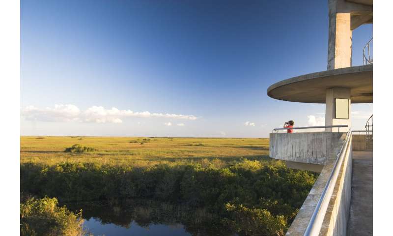 NSF renews long-term Everglades research program based at FIU