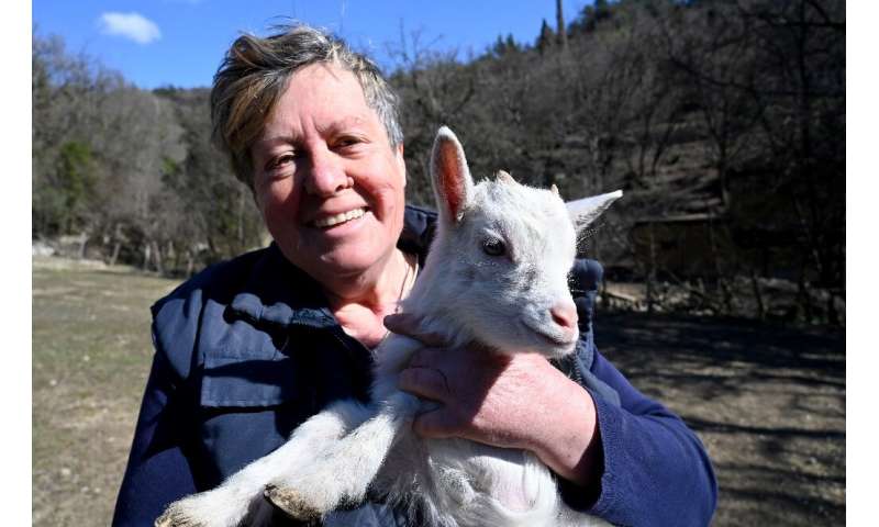 Olgica Skopac, 66, says the goats are an additional attraction for tourists who stay in apartments at her farm