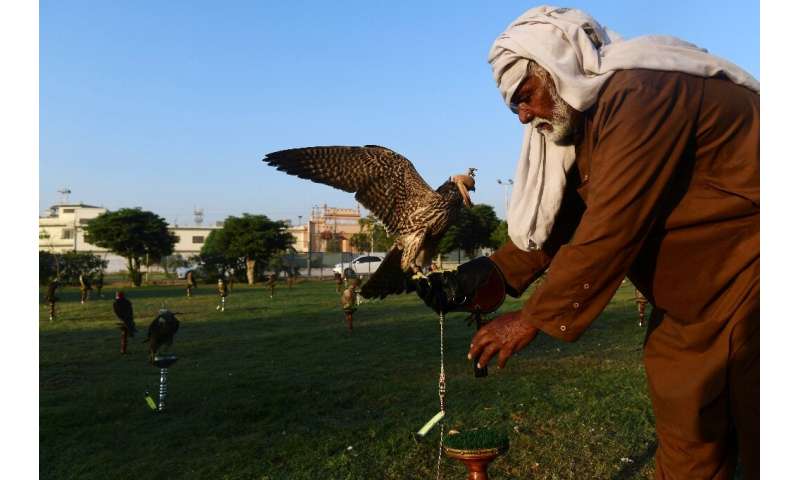 Pakistani conservationists say the country needs some kind of sustainable wildlife programme—some have suggested regulating the 