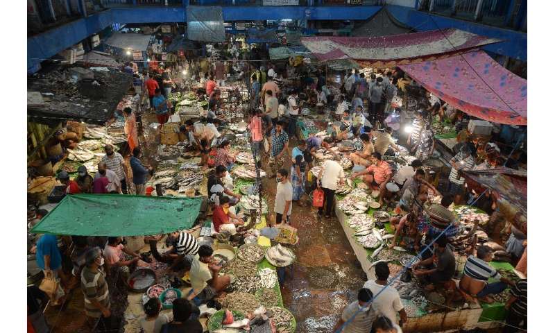 People shop at a fish market in Kolkata after the state government in India's West Bengal eased lockdown restrictions