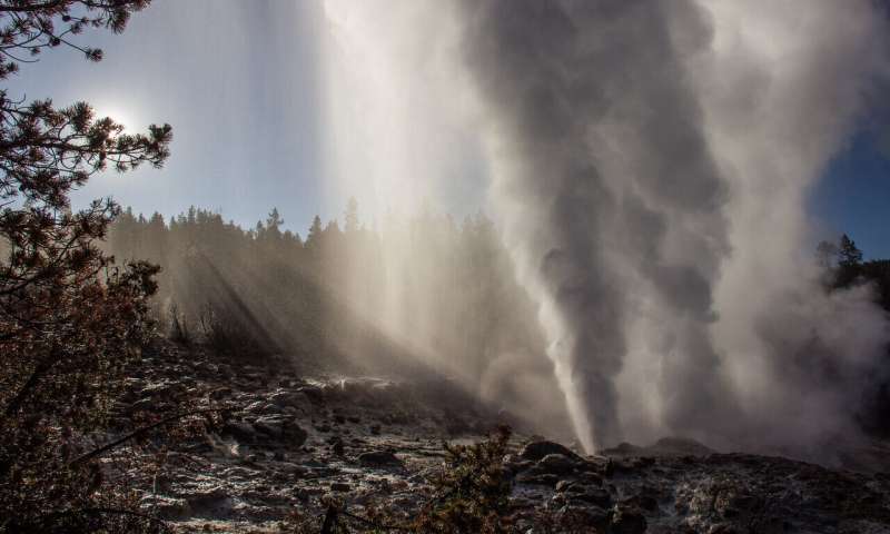 Woke geyser doesn't predict Yellowstone volcanic eruptions, study finds