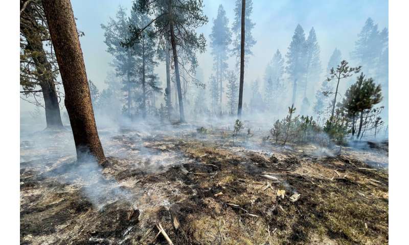 Size of Oregon wildfire underscores vastness of the US West