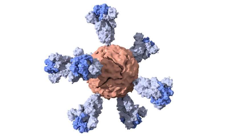 Stanford single-dose nanoparticle vaccine for COVID-19
