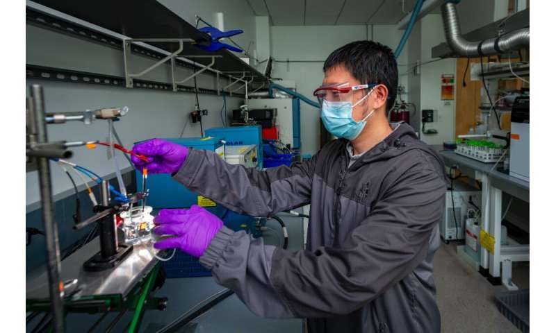 Une étude explore les mécanismes de dégradation dans les photoélectrodes Cu2O pour la réduction du CO2