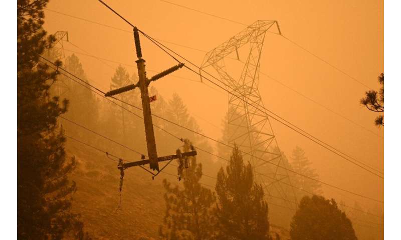 The fire broke out when a tree fell on one of California's exposed power lines