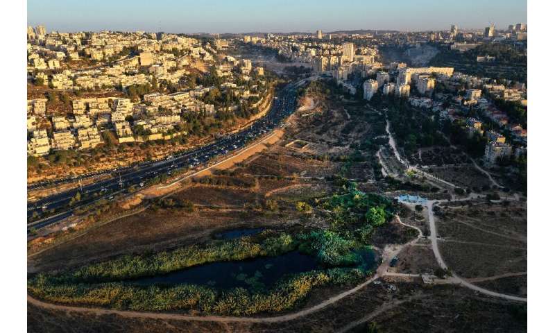 The Gazelle Valley Park, a nature reserve in the heart of Jerusalem, home to a herd of 80 of the graceful animals