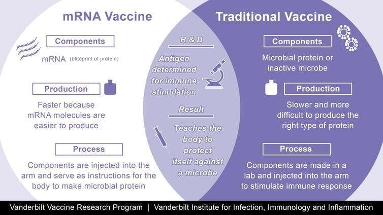 Vaccinating children: Is COVID-19 herd immunity possible without them?