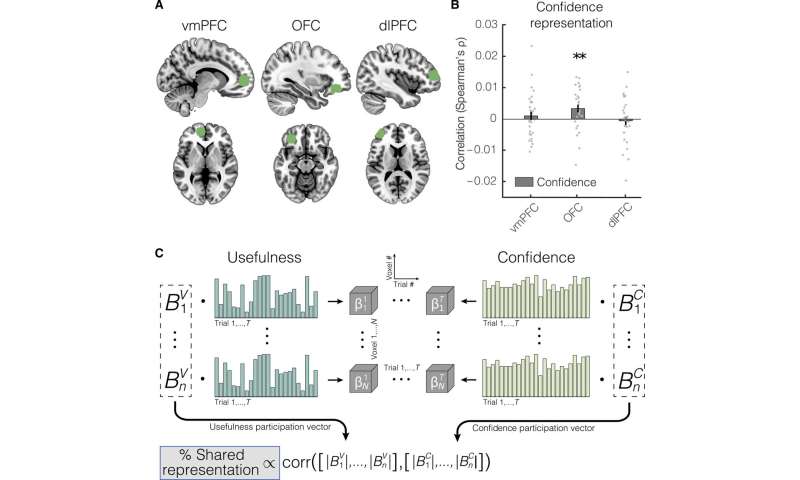 Value and neural representations during goal-directed behavior 