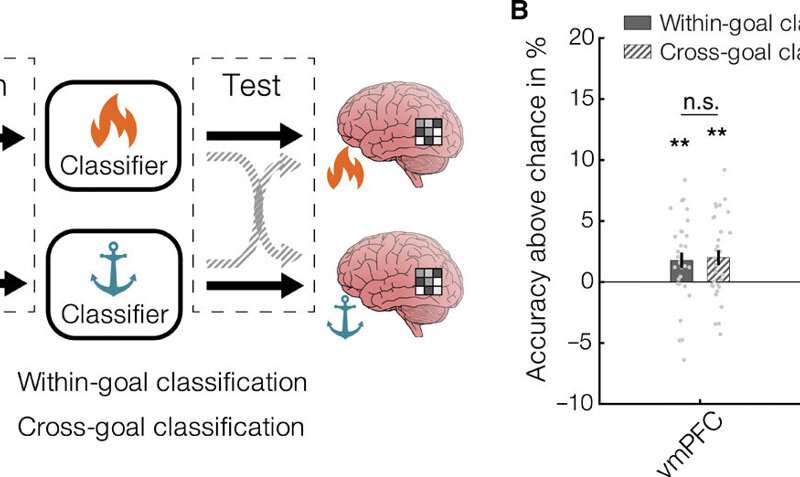 Value and neural representations during goal-directed behavior 