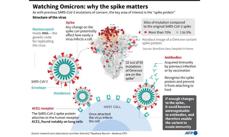 Watching Omicron: why the spike matters