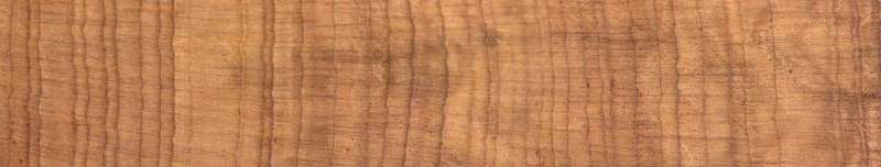 We found a secret history of megadroughts written in tree rings. The wheatbelt's future may be drier than we thought