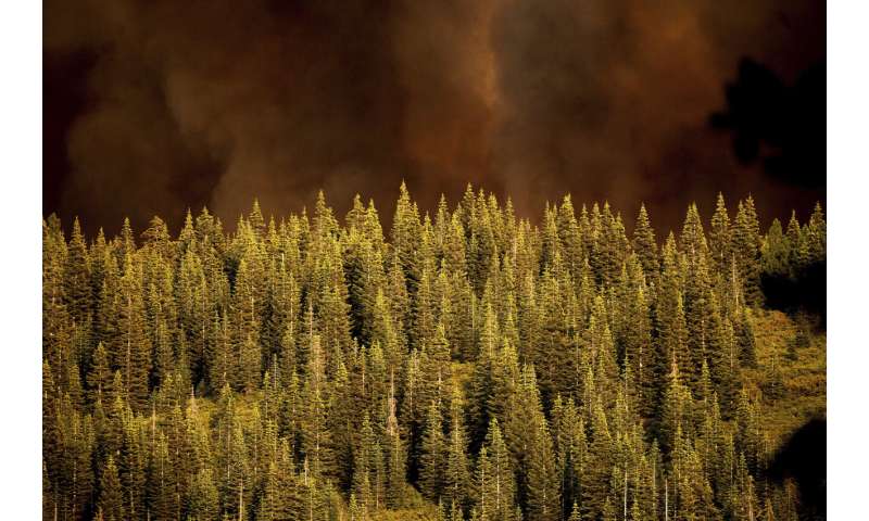 Western wildfires calm down in cool weather, but losses grow
