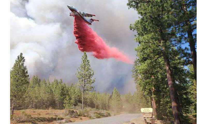 Wildfires in US West blowing 'so much smoke' into East Coast