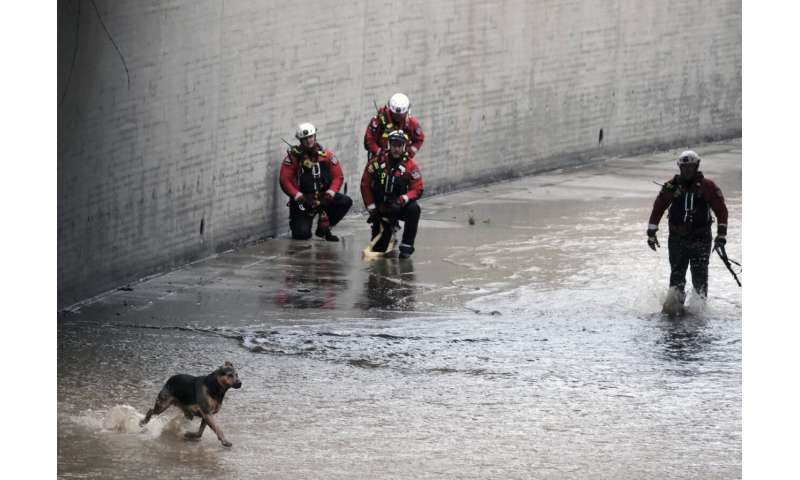 2 people, dogs rescued from river from storm in California